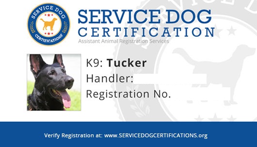 veteran service dog registration