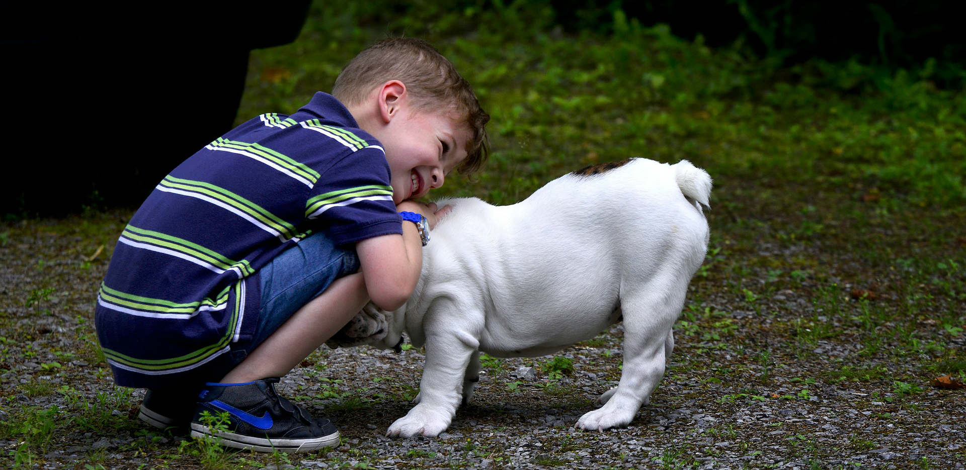 Мальчик с собакой. Малыш просит собаку. Папа мальчика собака